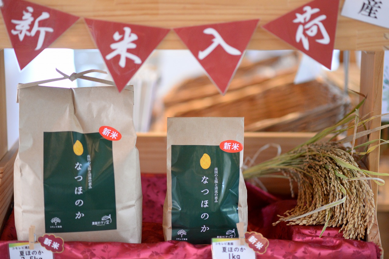 お米30㌔ 精米後約27㌔ 鹿児島県産なつほのか 令和